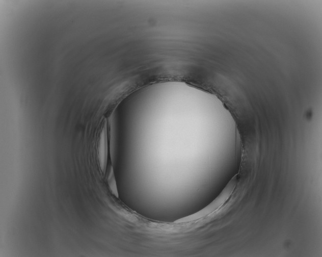 X0000096720045200802121258