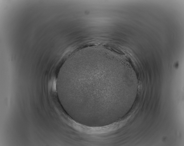 X0000096720046200802121258