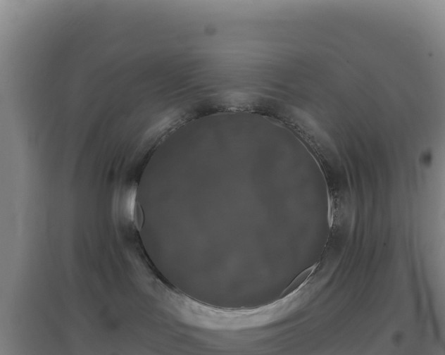 X0000096720047200802121258