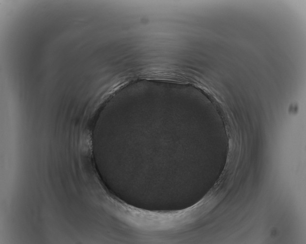 X0000096720048200802121258