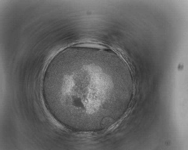 X0000096720049200802121257