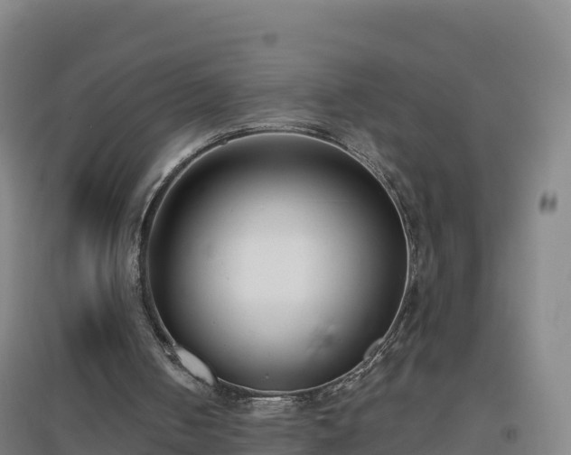 X0000096720050200802121257