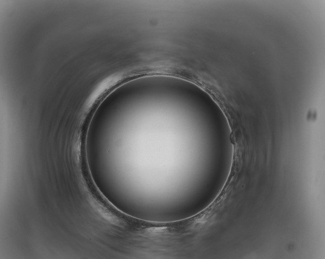 X0000096720054200802121257