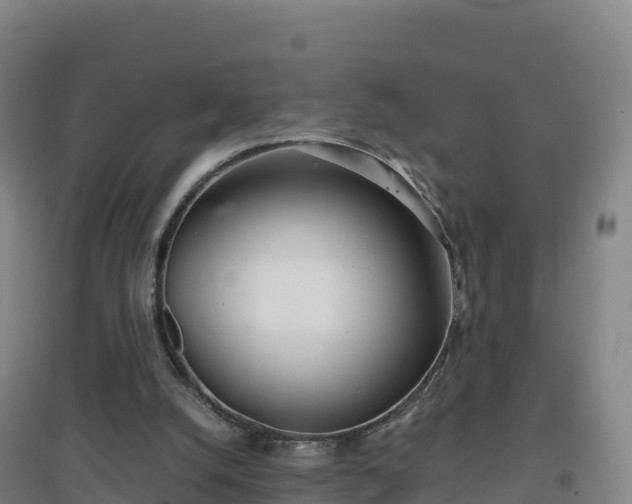 X0000096720056200802121257