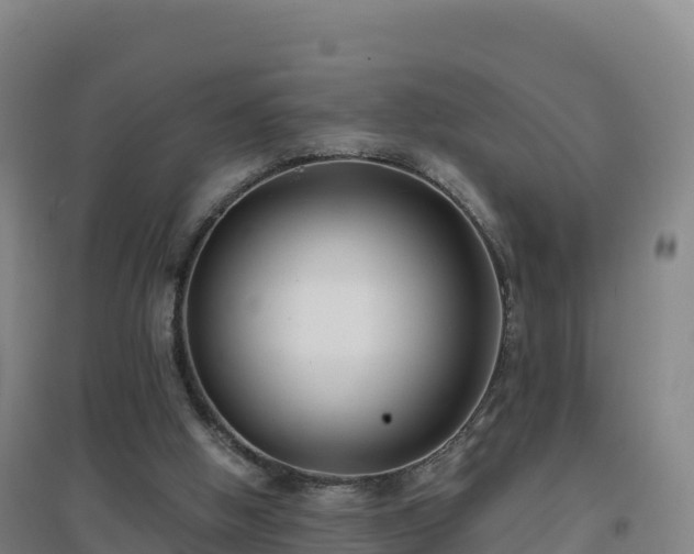 X0000096720058200802121257