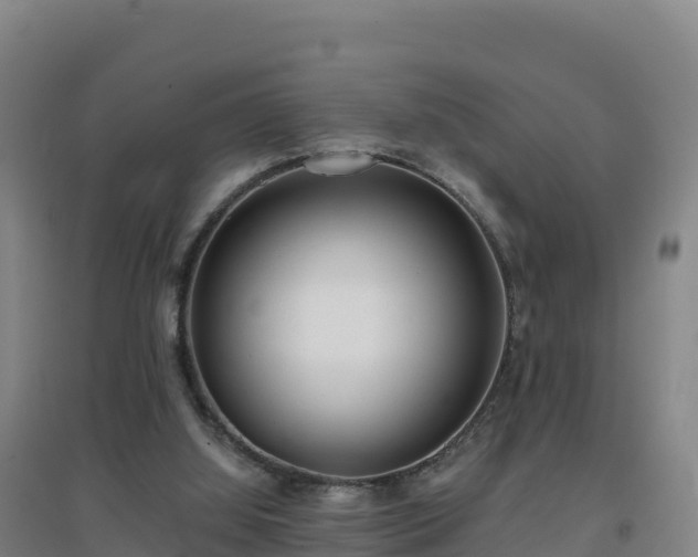 X0000096720060200802121258