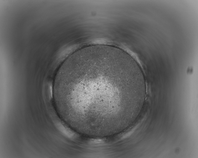 X0000096720061200802121258