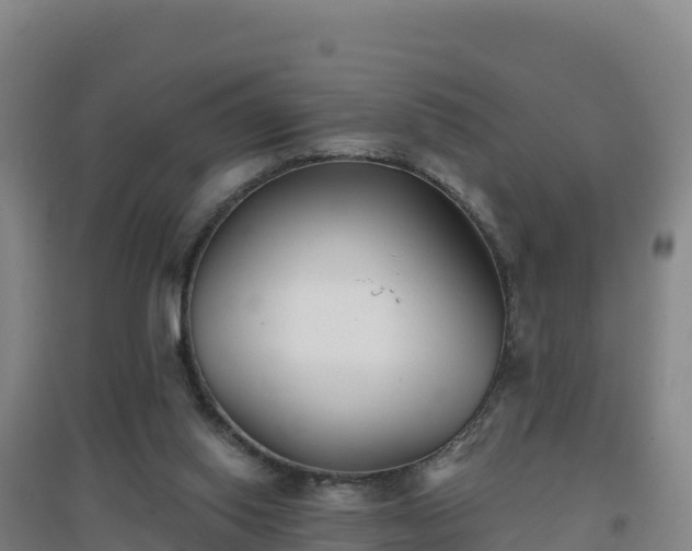 X0000096720062200802121258