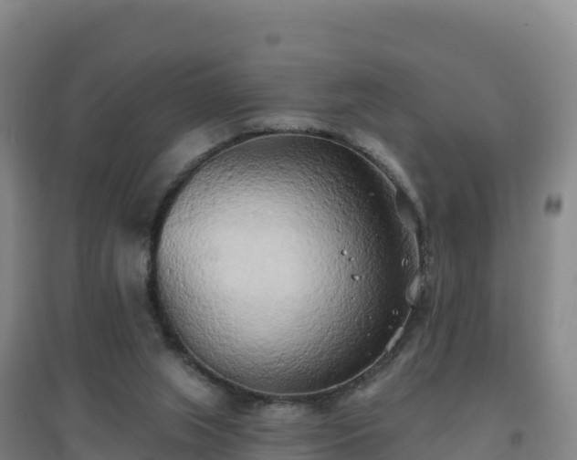 X0000096720063200802121258