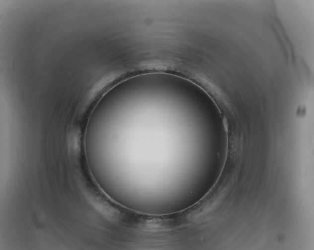 X0000096720064200802121258