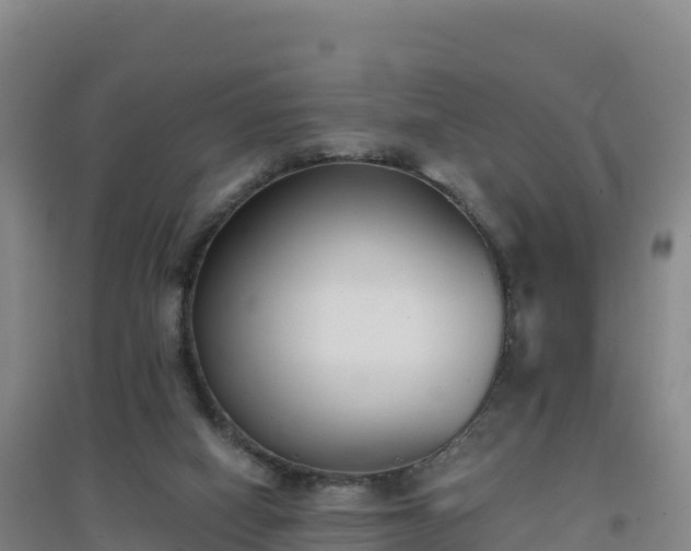 X0000096720066200802121258