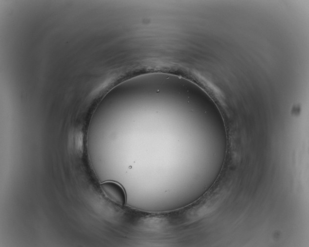 X0000096720067200802121258