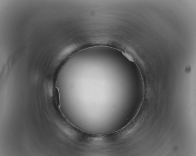 X0000096720068200802121258