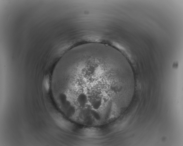 X0000096720069200802121258