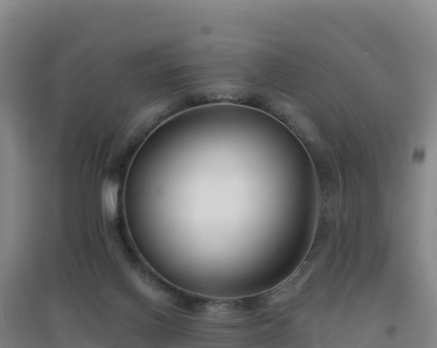 X0000096720070200802121258