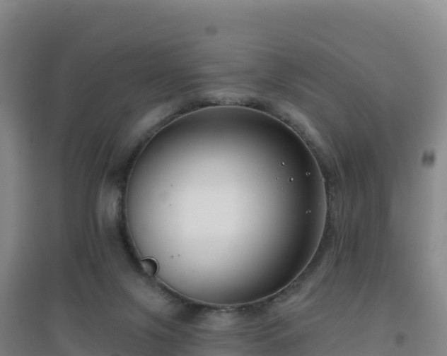 X0000096720071200802121258