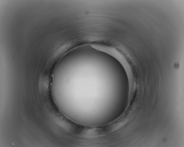 X0000096720072200802121258