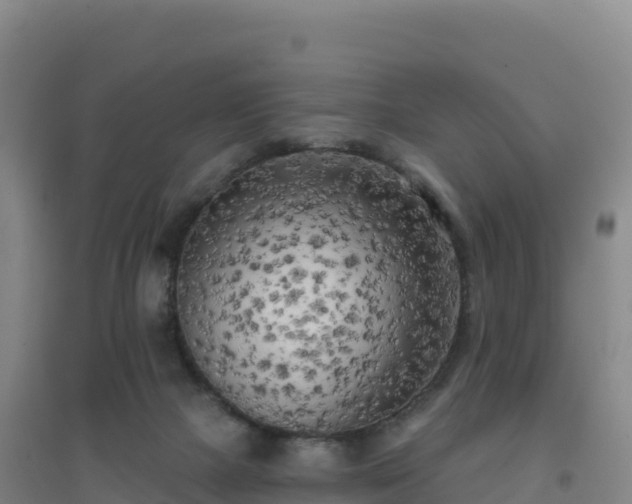 X0000096720073200802121258