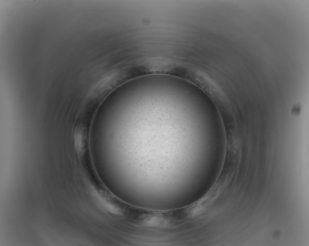 X0000096720074200802121258