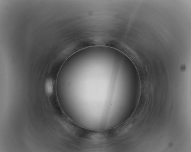 X0000096720075200802121258