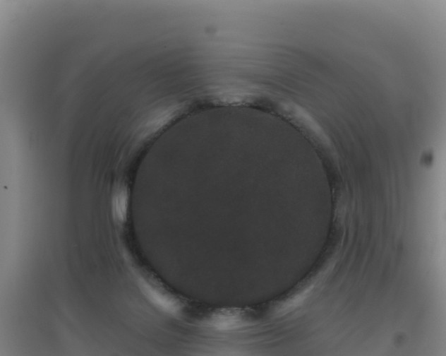 X0000096720076200802121258