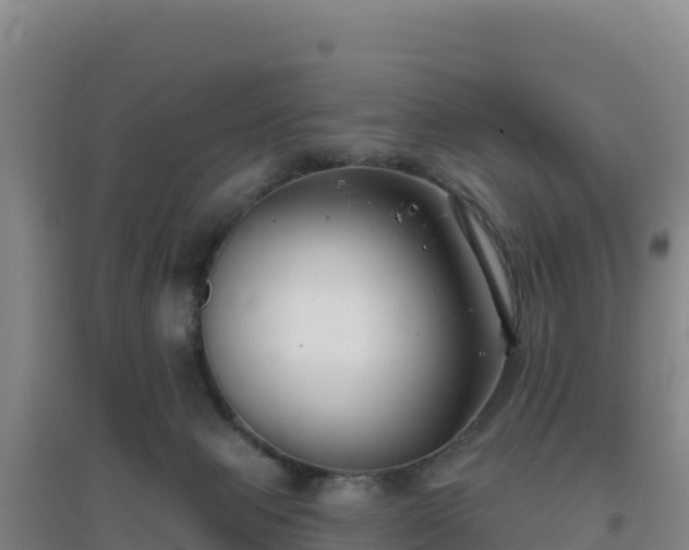 X0000096720077200802121258