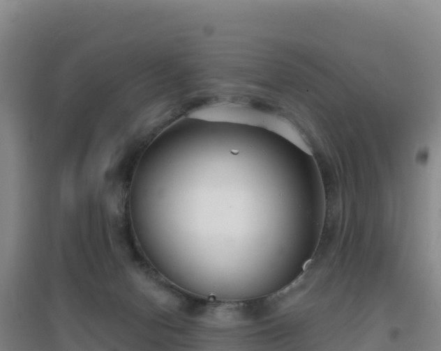 X0000096720078200802121258