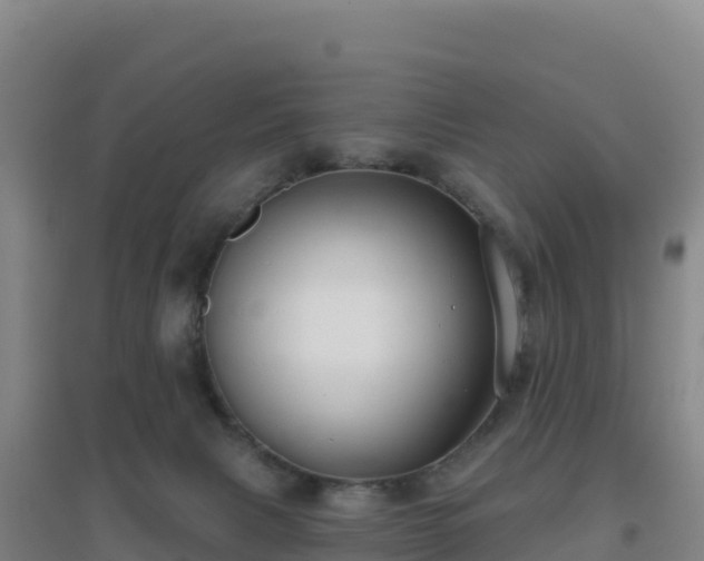 X0000096720079200802121258