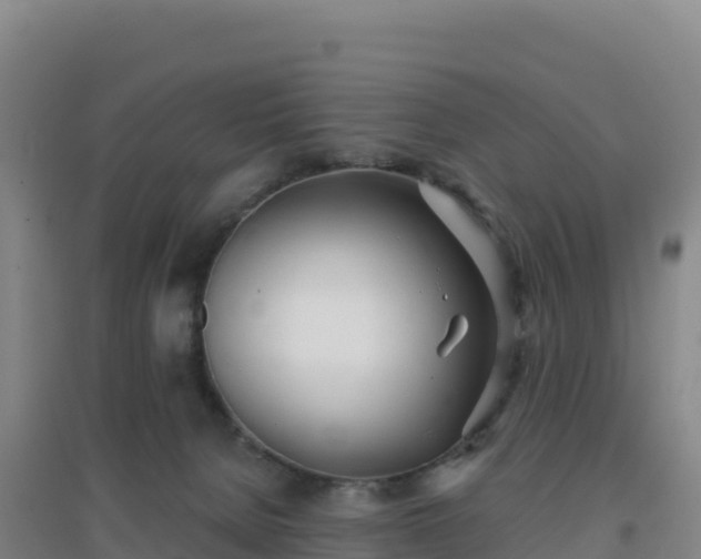 X0000096720080200802121258