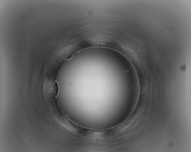 X0000096720081200802121258