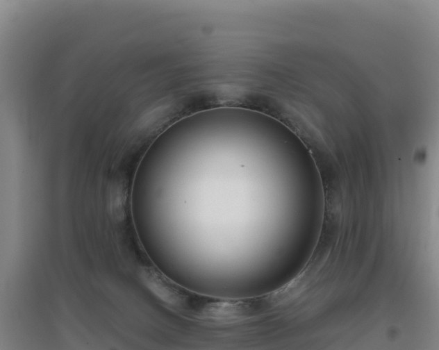 X0000096720082200802121258