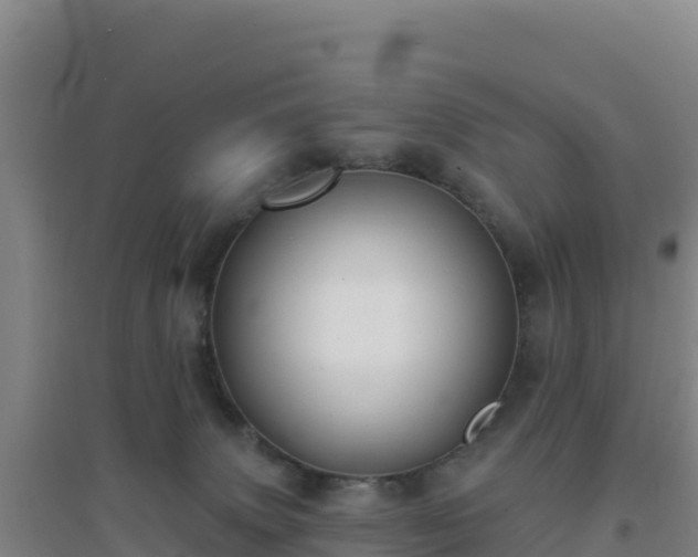 X0000096720083200802121258