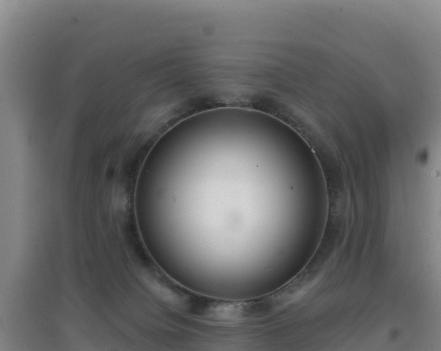 X0000096720084200802121258