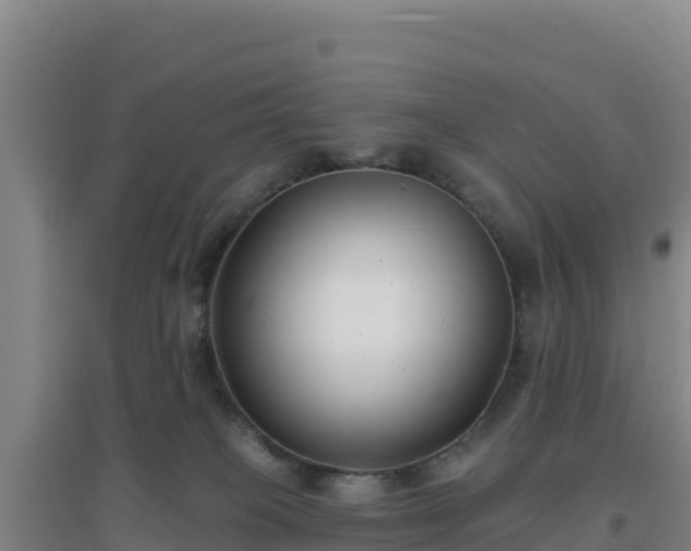 X0000096720085200802121258