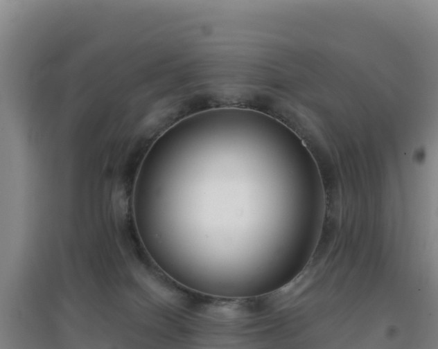 X0000096720086200802121258