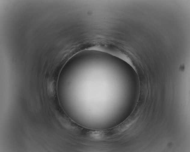 X0000096720088200802121258