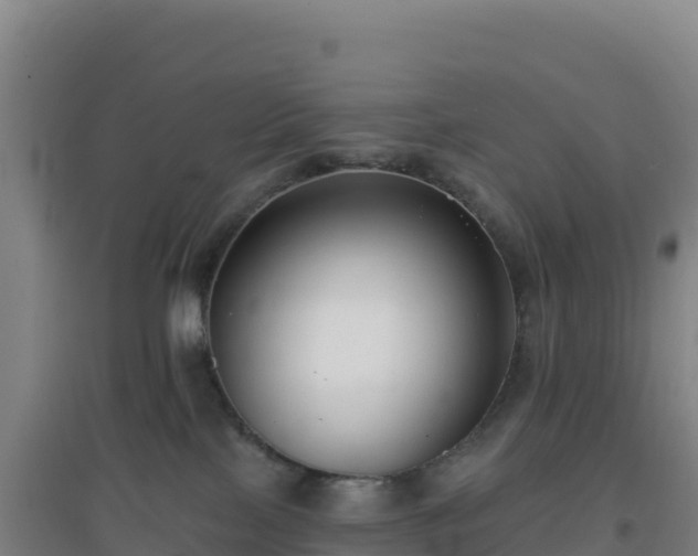 X0000096720089200802121258