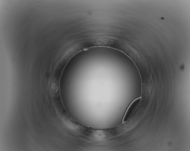 X0000096720091200802121258