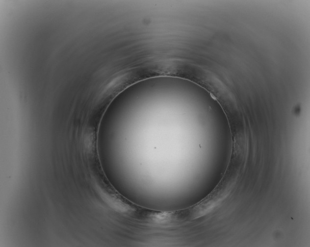 X0000096720092200802121258