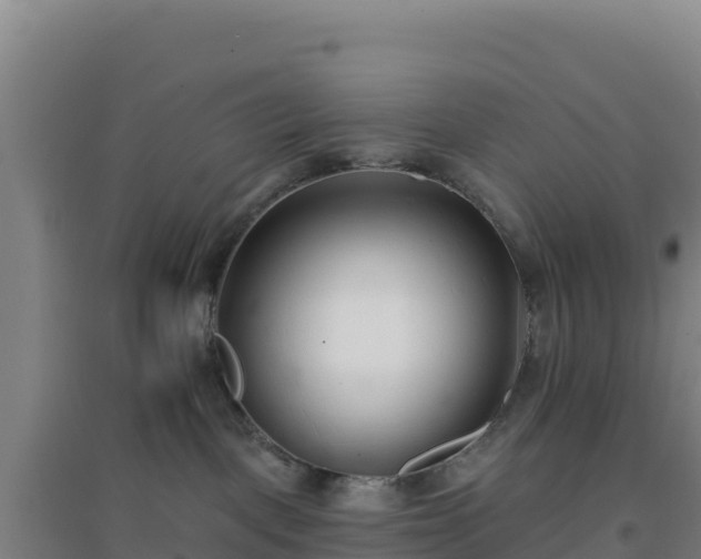 X0000096720093200802121258