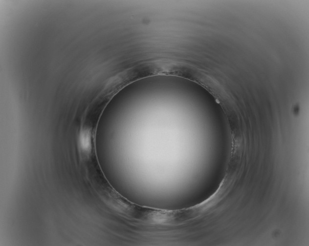 X0000096720094200802121258