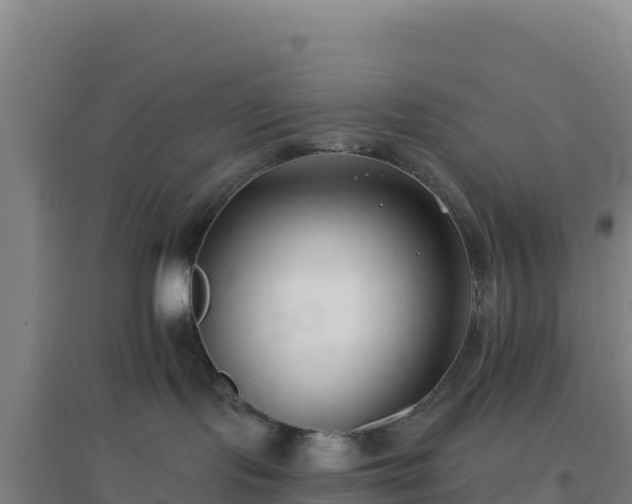 X0000096720095200802121258