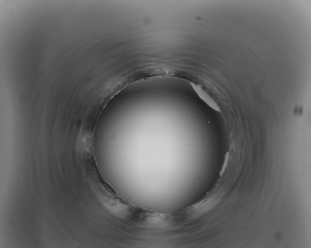 X0000096720096200802121258