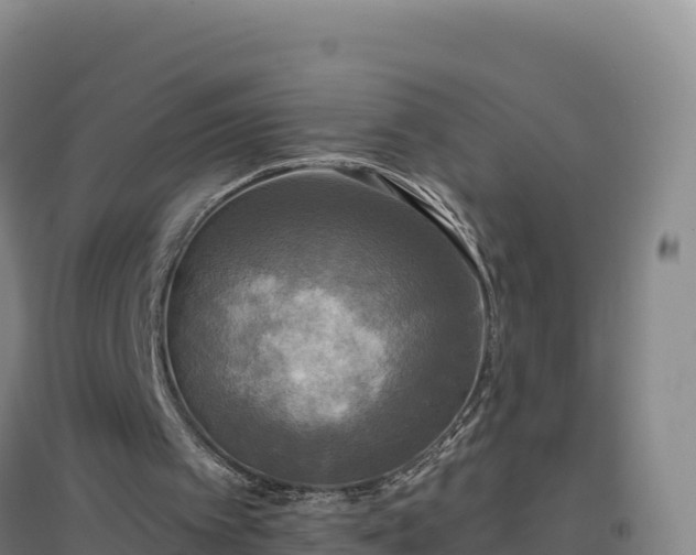 X0000096720097200802121257