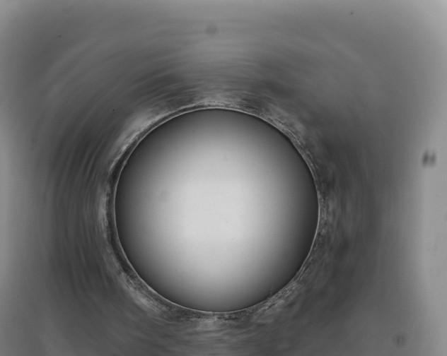 X0000096720098200802121257