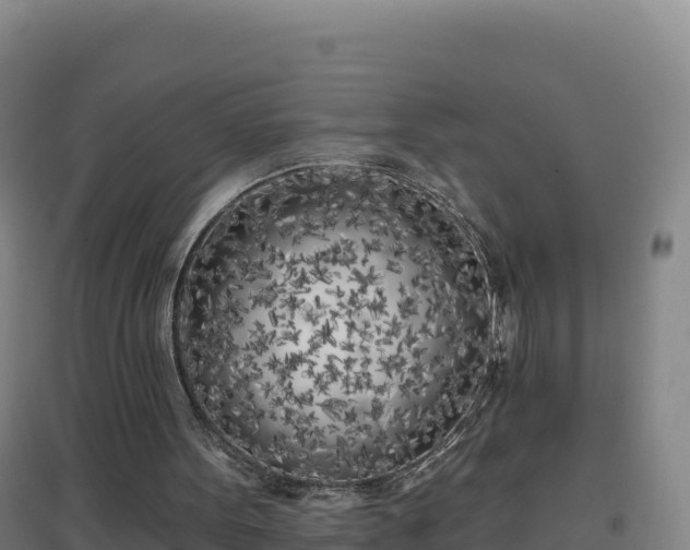 X0000096720099200802121257