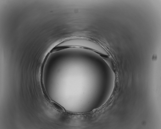 X0000096720100200802121257