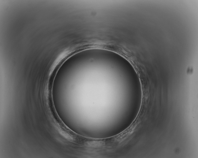 X0000096720102200802121257