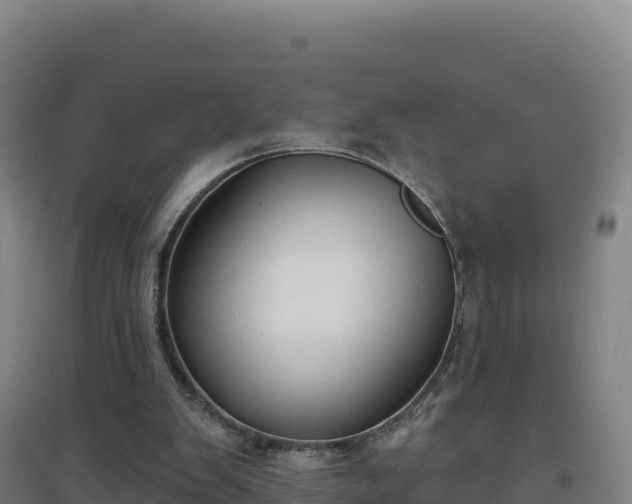 X0000096720103200802121257