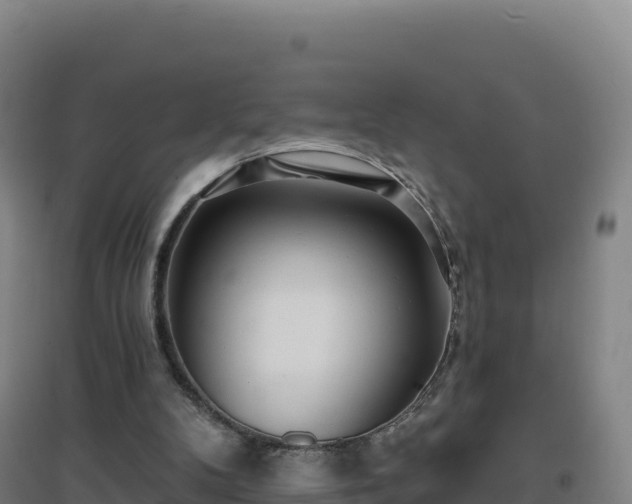 X0000096720104200802121257